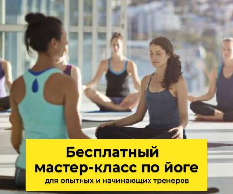 img3830440.png