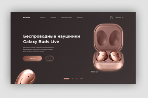 Дизайн Landing Page для сайта NAUSHNIK