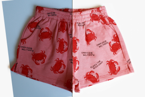 ретушь/шорты