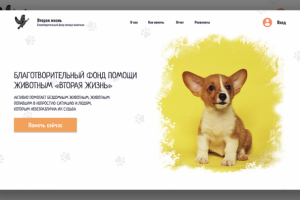 Дизайн сайта Благотворительного фонда