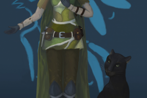 Эльфийка-рейнджер с пантерой