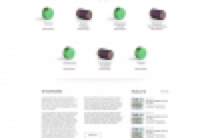 Дизайн сайта Brocus