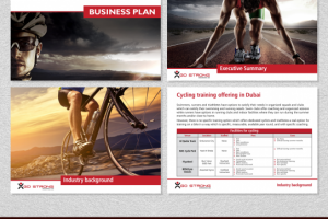 Бизнес-презентация