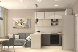 Кухня-гостиная