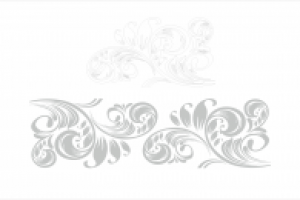 Отрисовка растрового изображения в вектор