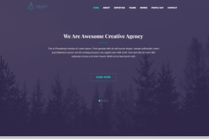 Адаптивная вёрстка лэндинга "Tajam"