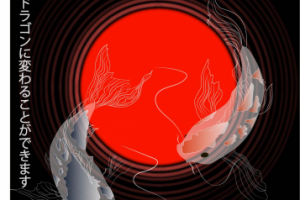 Карпы кои вблизи солнца