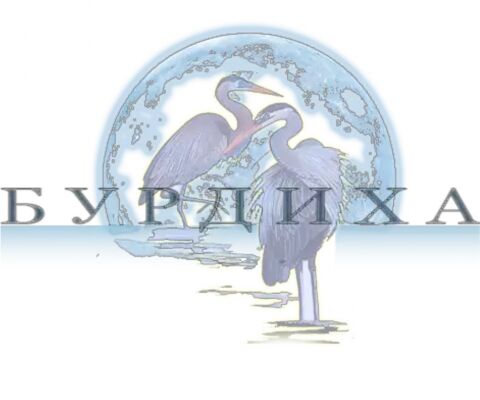 img4191400.png