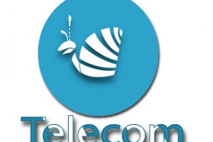 Улитка Telecom