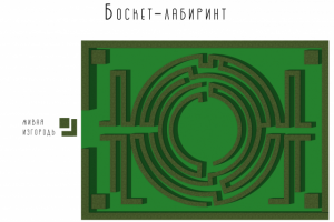 Баскет-лабиринт