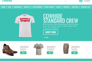 PremiumEcommerceebsite