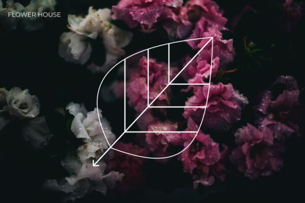 img4280116.png