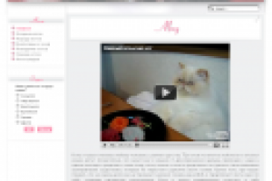 Все про котов