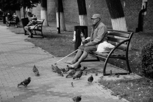 Работа 3989750