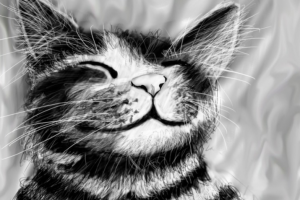 Рисунок кот