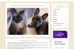 Ветеринарный сайт