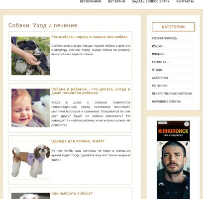 img4260858.png