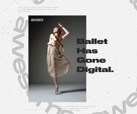 img3957060.png