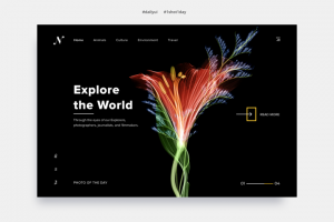 Работа 3545731