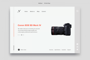 Работа 3545702