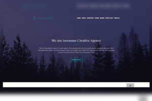 Landing my portfolio