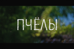 Мини-фильм "Пчелы"