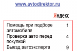 Автодиректор - продвижение сайта в поисковиках, соцсетях