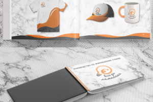 Брендбук для магазина "все до лампочки"