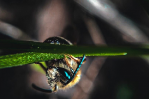 макро - жизнь