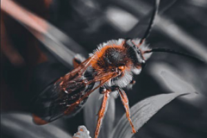 макро - жизнь