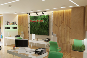 Офис в Эко стиле