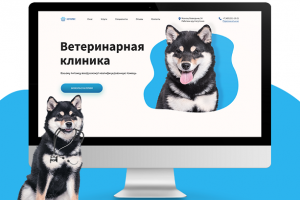 Landing page ветеринарной клиники
