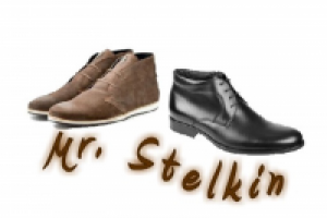 Нейминг обувного салона: "Mr. СТЕЛЬКИН"
