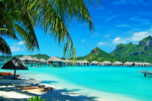 Работа 3110659