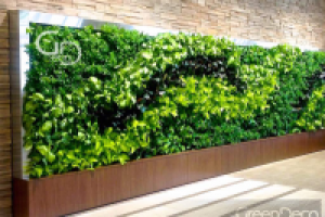 Нейминг и Слоган