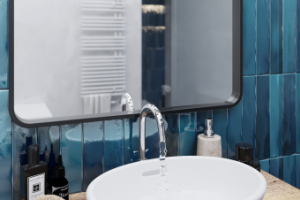 Визуализация с/у