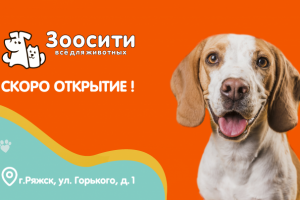 Баннер для VK