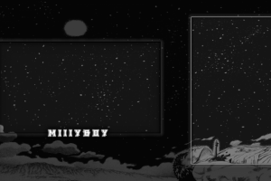 ОФОРМЛЕНИЕ ТВИЧА