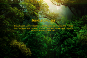 Работа 4163062