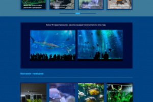 Работа 4163066