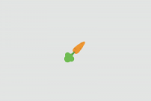 ROCKET CARROT