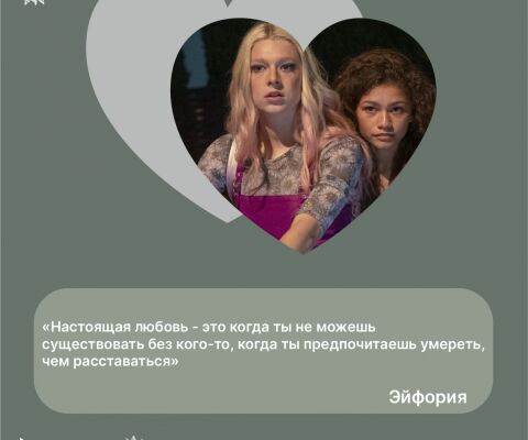 img4246831.png
