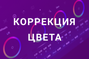 Работа 4069656