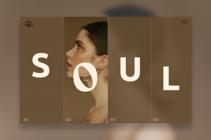 Soul
