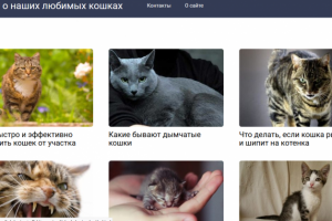 Сайт о кошках