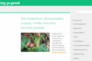 Сайт про дачу