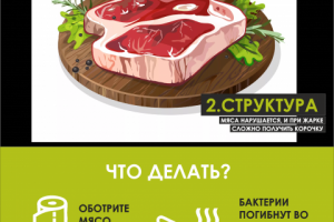 Публикация