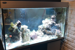 Лампа аквариумная 300W