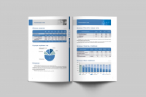 Годовой отчет