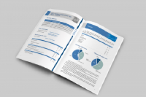 Годовой отчет